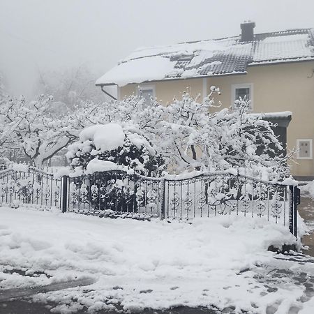 Apartmán Drago Kremenjas Delnice Exteriér fotografie