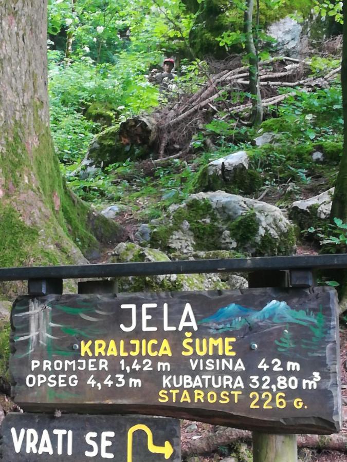 Apartmán Drago Kremenjas Delnice Exteriér fotografie
