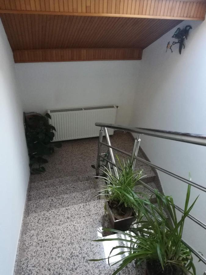 Apartmán Drago Kremenjas Delnice Exteriér fotografie
