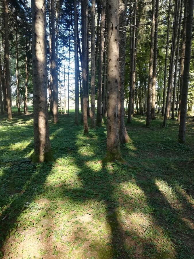 Apartmán Drago Kremenjas Delnice Exteriér fotografie