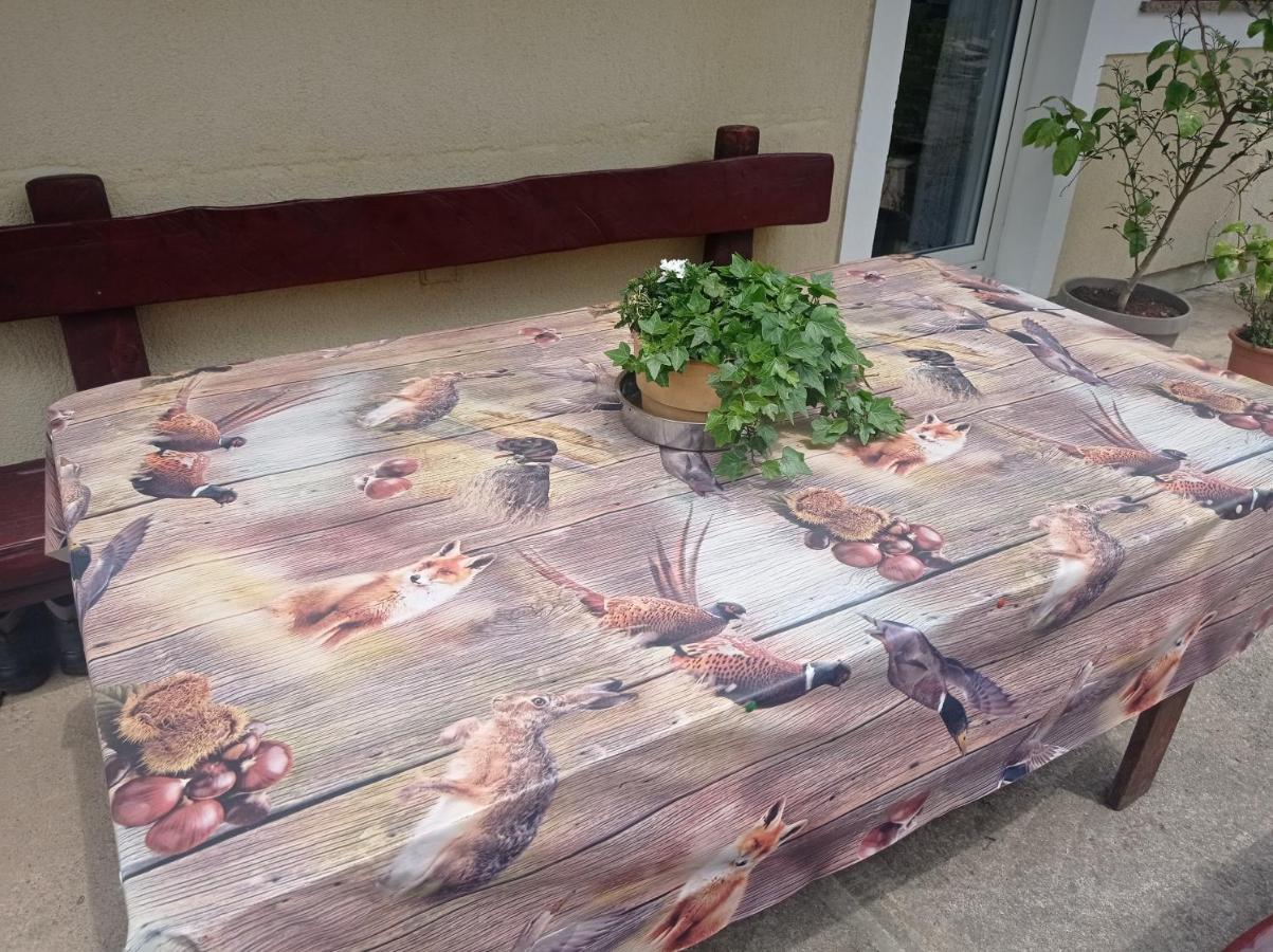 Apartmán Drago Kremenjas Delnice Exteriér fotografie