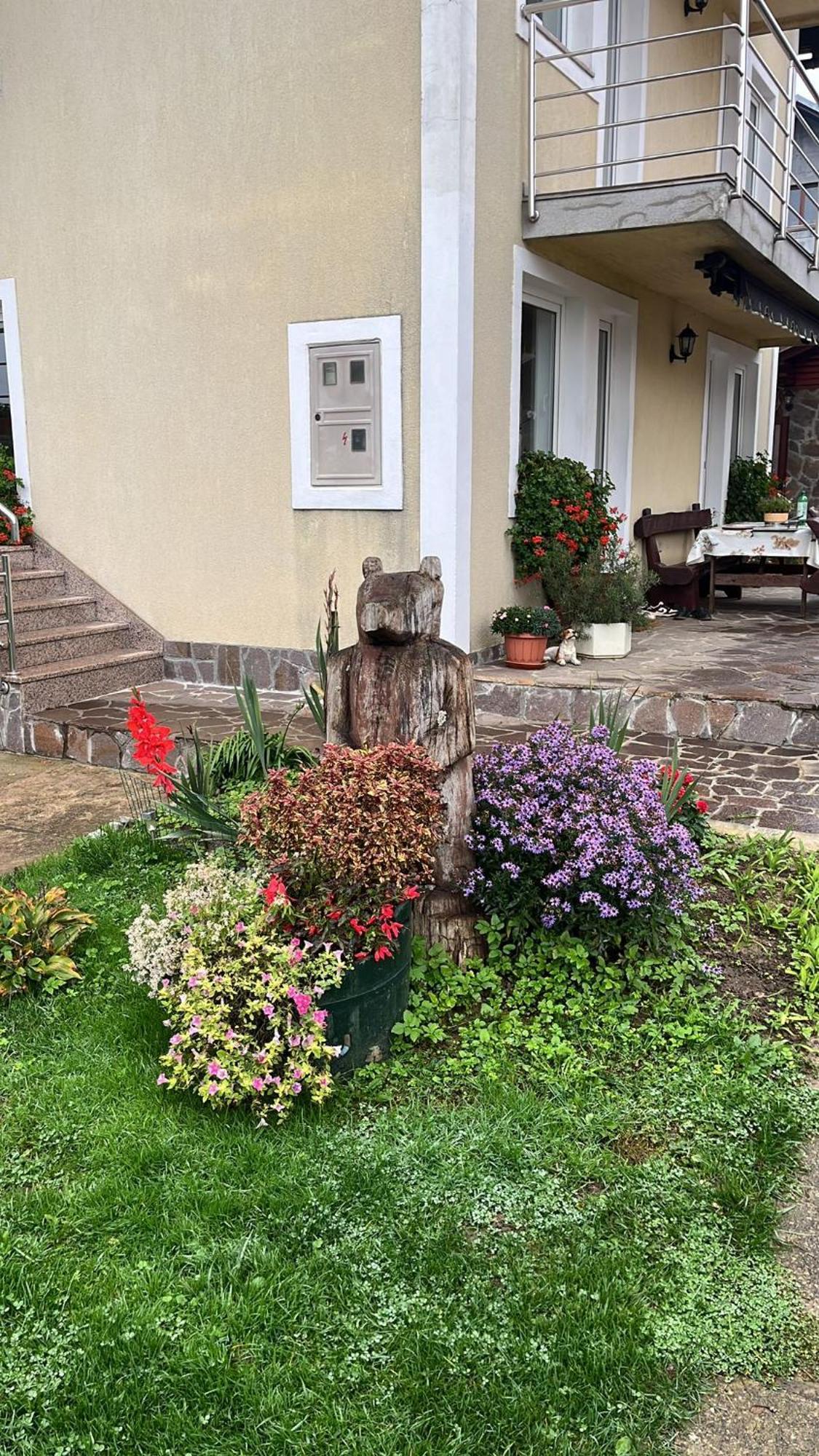 Apartmán Drago Kremenjas Delnice Exteriér fotografie